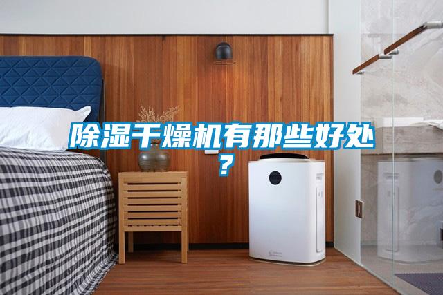 除濕干燥機有那些好處?