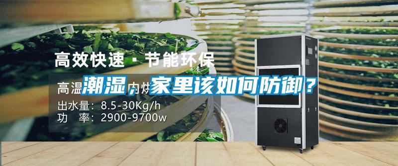 潮濕，家里該如何防御？