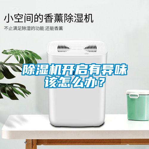 除濕機(jī)開啟有異味該怎么辦?