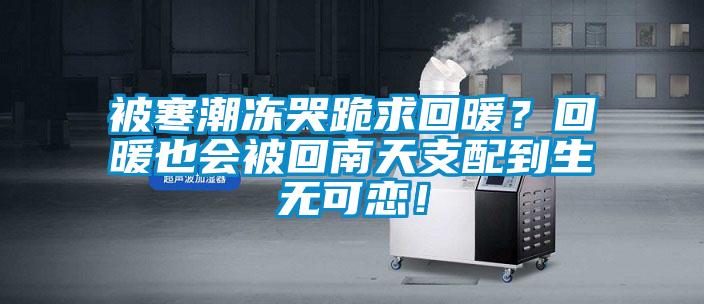 被寒潮凍哭跪求回暖?回暖也會被回南天支配到生無可戀!