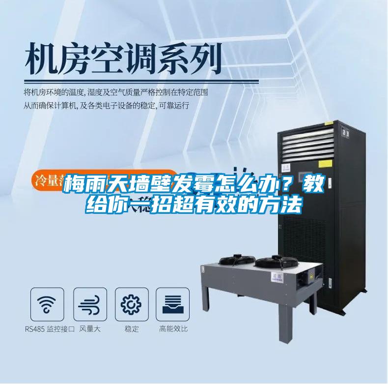 梅雨天墻壁發霉怎么辦?教給你一招超有效的方法