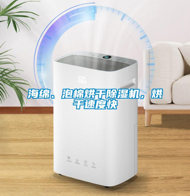海綿、泡棉烘干除濕機，烘干速度快