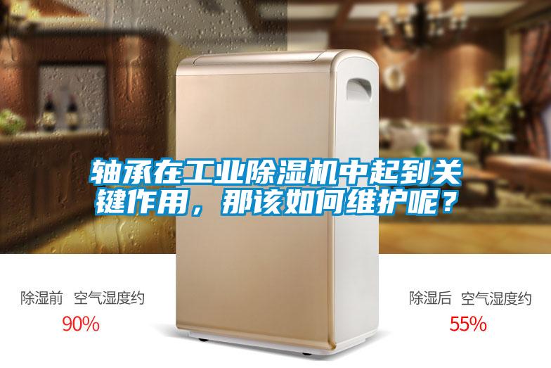 軸承在工業(yè)除濕機(jī)中起到關(guān)鍵作用，那該如何維護(hù)呢？