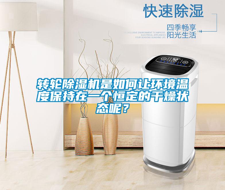 轉輪除濕機是如何讓環境溫度保持在一個恒定的干燥狀態呢?
