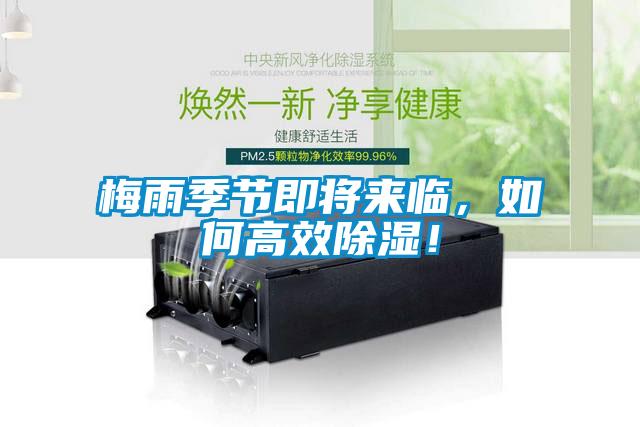 梅雨季節即將來臨,如何高效除濕!