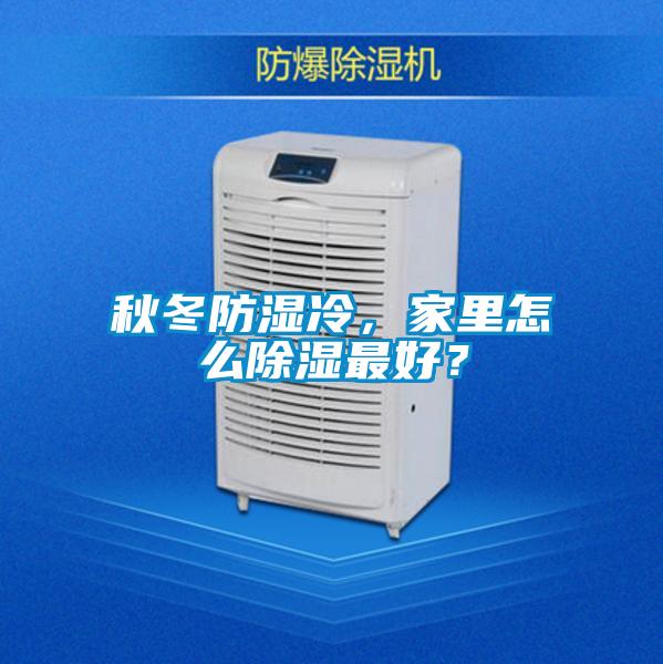 秋冬防濕冷,家里怎么除濕最好?