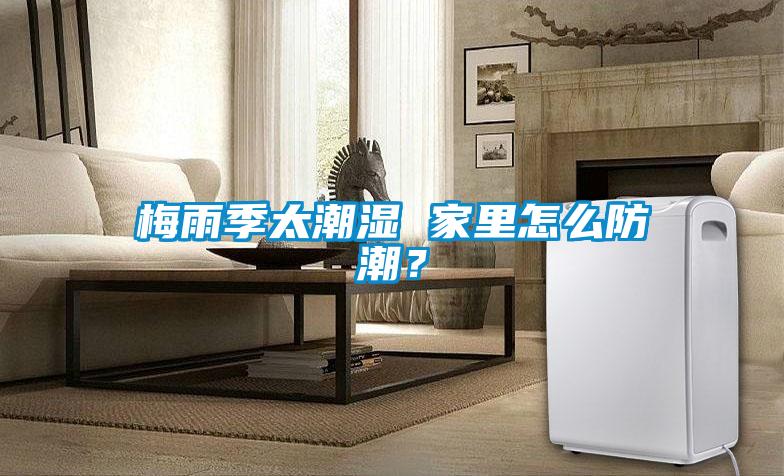 梅雨季太潮濕 家里怎么防潮?