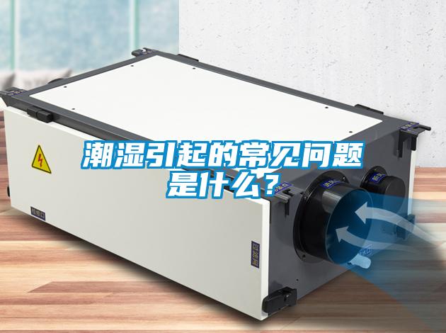 潮濕引起的常見問題是什么？