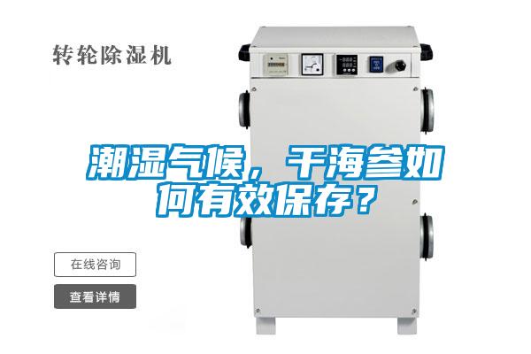 潮濕氣候，干海參如何有效保存？