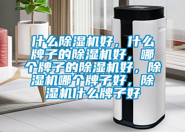 什么除濕機(jī)好，什么牌子的除濕機(jī)好，哪個(gè)牌子的除濕機(jī)好，除濕機(jī)哪個(gè)牌子好，除濕機(jī)什么牌子好