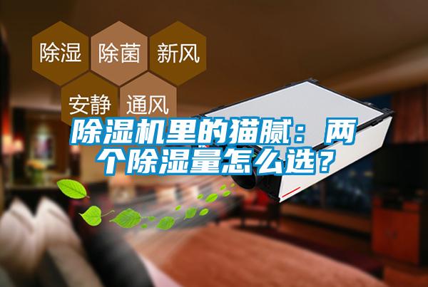 除濕機(jī)里的貓膩:兩個(gè)除濕量怎么選?