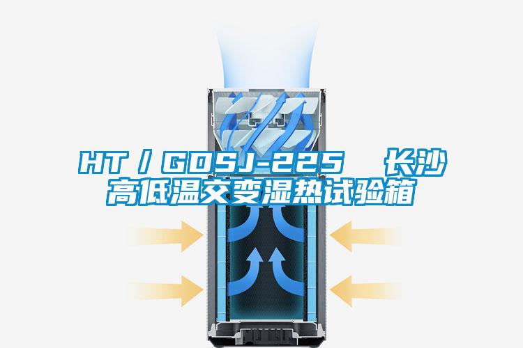 HT/GDSJ-225  長沙高低溫交變濕熱試驗箱