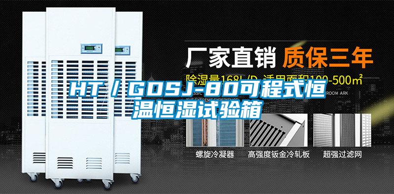 HT/GDSJ-80可程式恒溫恒濕試驗箱