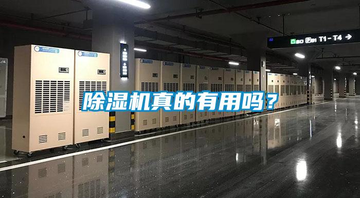 除濕機真的有用嗎?