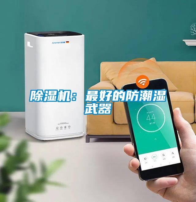 除濕機:最好的防潮濕武器