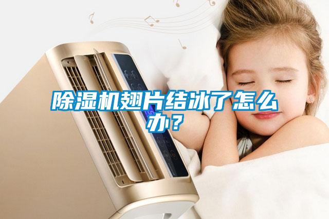 除濕機翅片結冰了怎么辦?