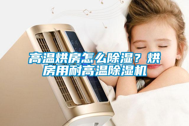 高溫烘房怎么除濕?烘房用耐高溫除濕機(jī)