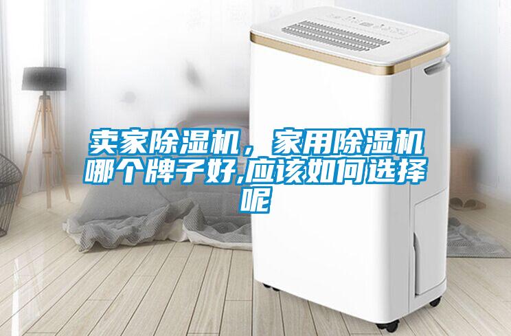賣家除濕機，家用除濕機哪個牌子好,應(yīng)該如何選擇呢