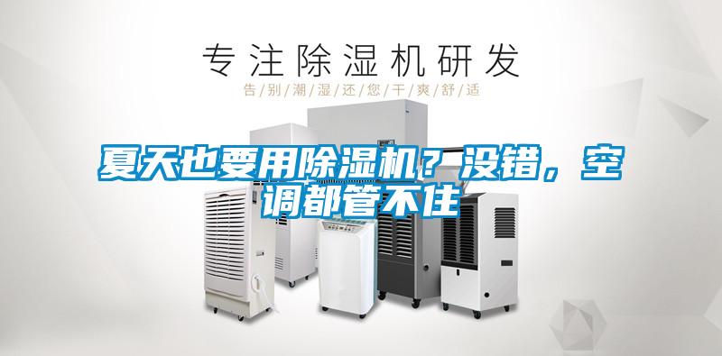 夏天也要用除濕機？沒錯，空調(diào)都管不住