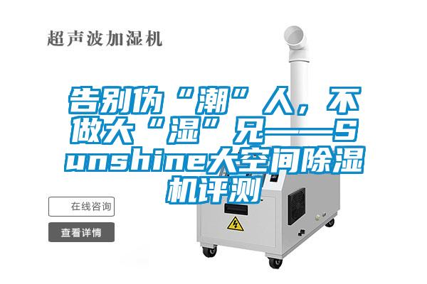 告別偽“潮”人,不做大“濕”兄——Sunshine大空間除濕機評測