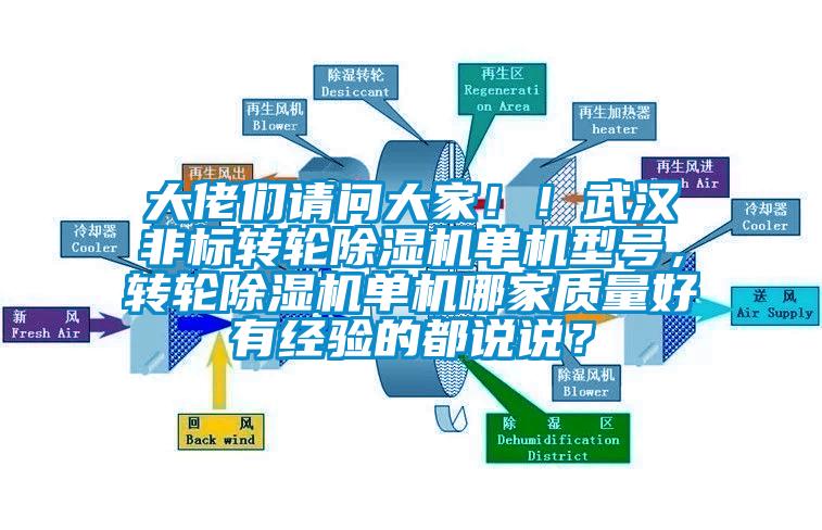 大佬們請(qǐng)問大家！！武漢非標(biāo)轉(zhuǎn)輪除濕機(jī)單機(jī)型號(hào)，轉(zhuǎn)輪除濕機(jī)單機(jī)哪家質(zhì)量好有經(jīng)驗(yàn)的都說說？