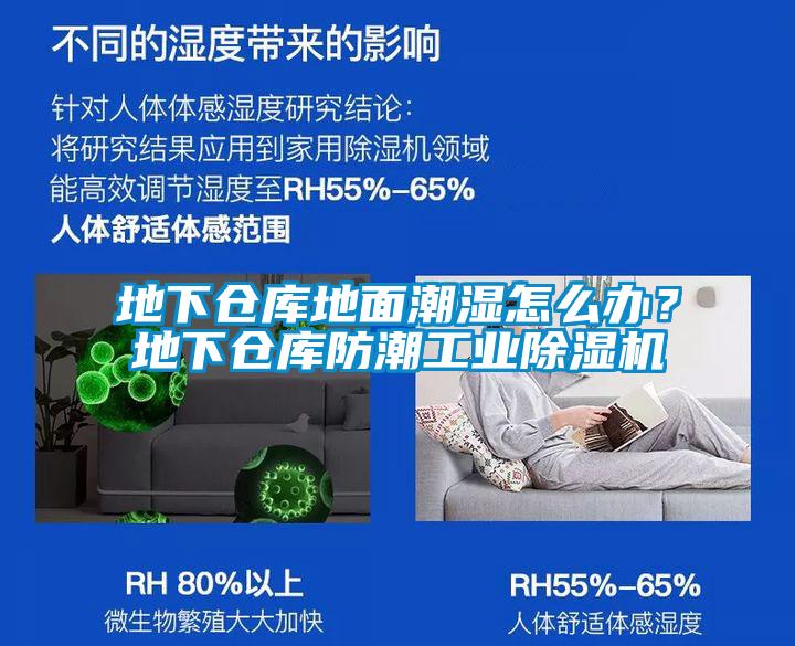 地下倉庫地面潮濕怎么辦?地下倉庫防潮工業(yè)除濕機(jī)