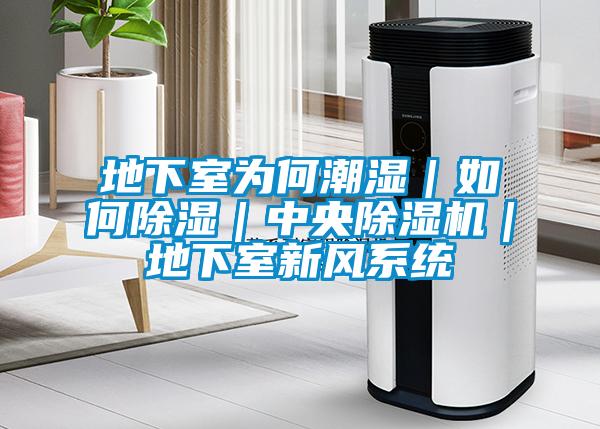 地下室為何潮濕|如何除濕|中央除濕機(jī)|地下室新風(fēng)系統(tǒng)