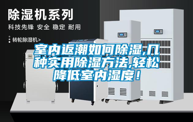 室內(nèi)返潮如何除濕,幾種實用除濕方法,輕松降低室內(nèi)濕度!