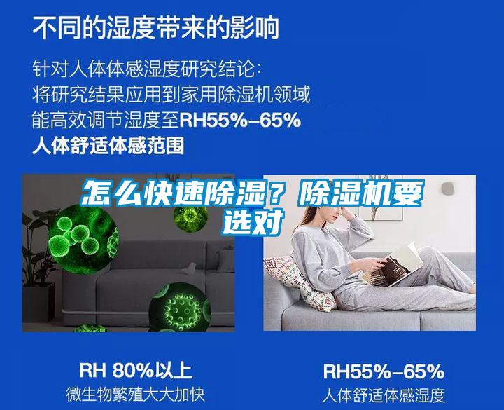 怎么快速除濕？除濕機要選對
