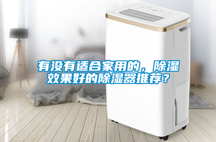 有沒有適合家用的，除濕效果好的除濕器推薦？