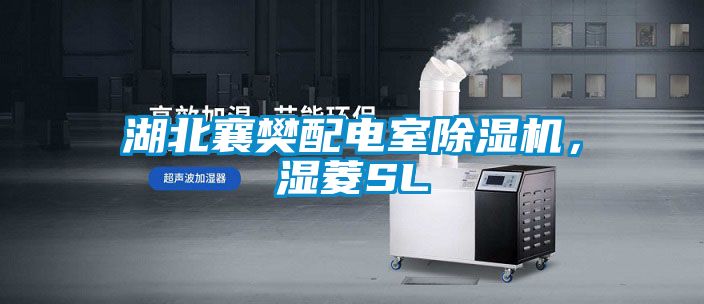 湖北襄樊配電室除濕機，濕菱SL