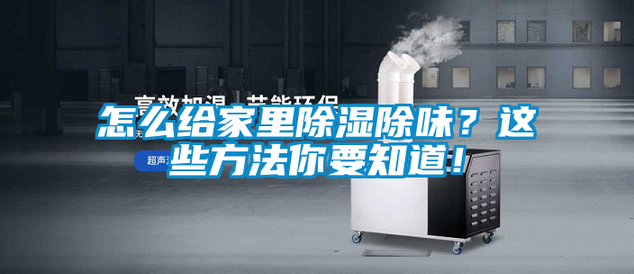 怎么給家里除濕除味？這些方法你要知道！