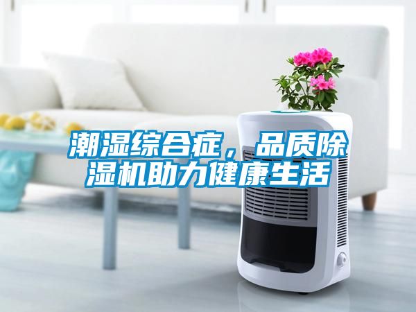 潮濕綜合癥,品質除濕機助力健康生活