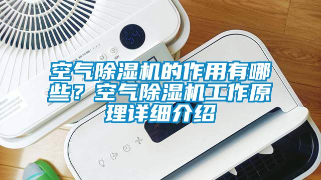 空氣除濕機的作用有哪些？空氣除濕機工作原理詳細介紹