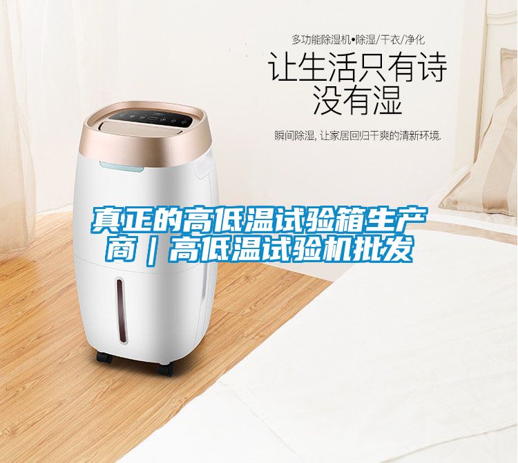 真正的高低溫試驗箱生產商|高低溫試驗機批發