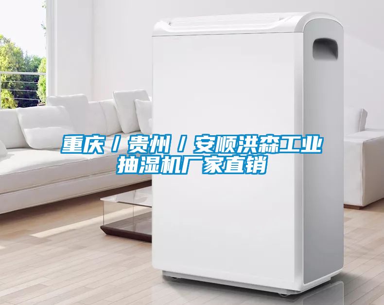 重慶/貴州/安順洪森工業(yè)抽濕機(jī)廠家直銷