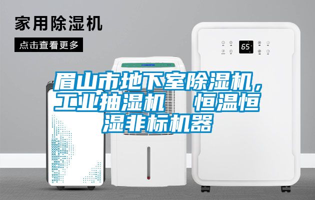 眉山市地下室除濕機，工業抽濕機  恒溫恒濕非標機器