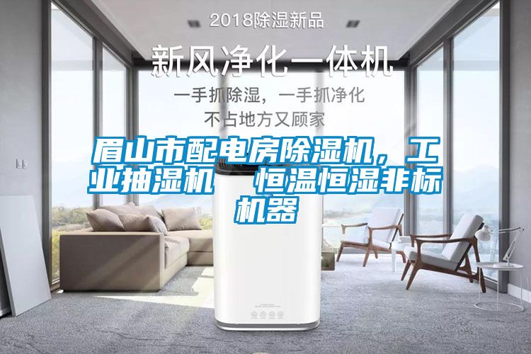 眉山市配電房除濕機，工業抽濕機  恒溫恒濕非標機器