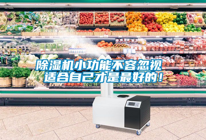 除濕機小功能不容忽視 適合自己才是最好的！