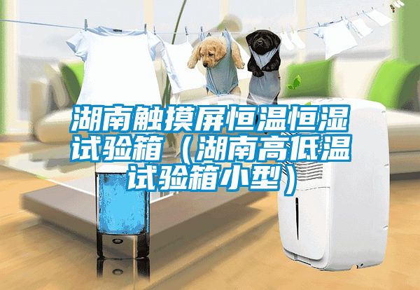 湖南觸摸屏恒溫恒濕試驗箱(湖南高低溫試驗箱小型)