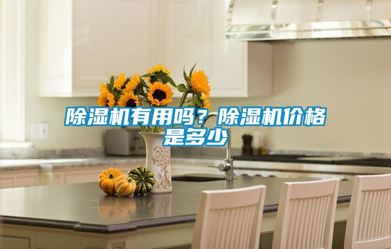 除濕機有用嗎?除濕機價格是多少