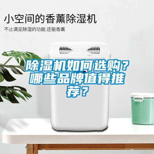 除濕機如何選購？哪些品牌值得推薦？