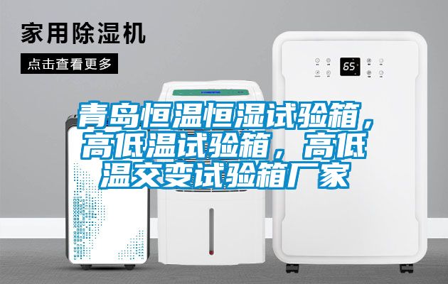 青島恒溫恒濕試驗箱，高低溫試驗箱，高低溫交變試驗箱廠家