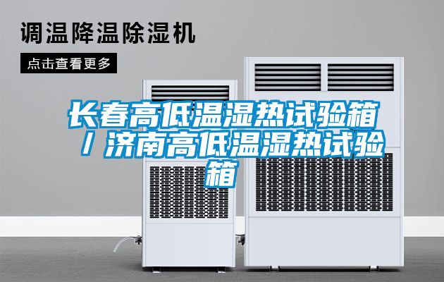 長春高低溫濕熱試驗箱/濟南高低溫濕熱試驗箱