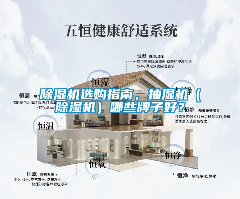 除濕機選購指南，抽濕機（除濕機）哪些牌子好？