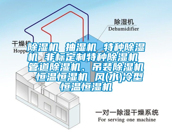 除濕機 抽濕機 特種除濕機 非標定制特種除濕機 管道除濕機、吊裝除濕機 恒溫恒濕機 風(水)冷型恒溫恒濕機