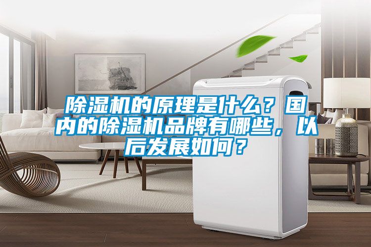 除濕機的原理是什么？國內的除濕機品牌有哪些，以后發展如何？