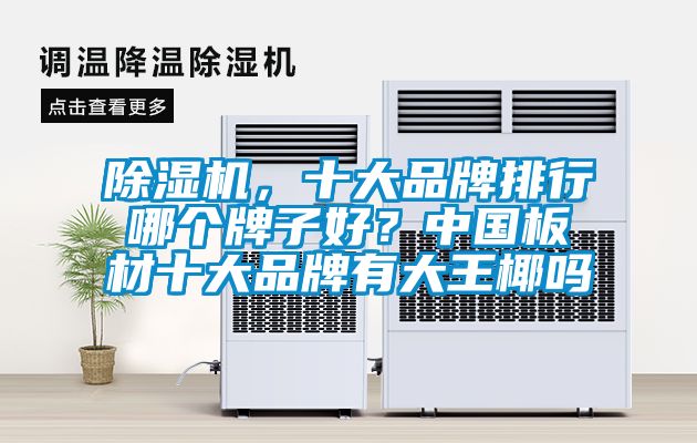 除濕機(jī)，十大品牌排行哪個牌子好？中國板材十大品牌有大王椰嗎