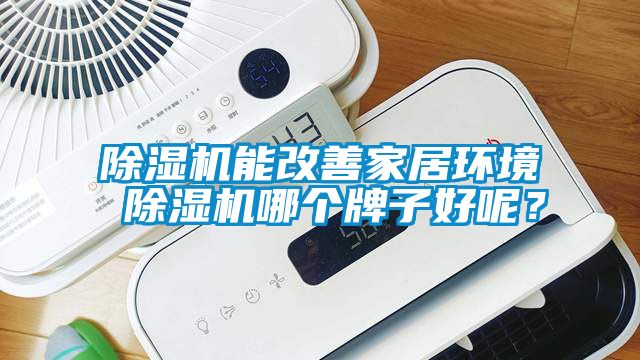 除濕機(jī)能改善家居環(huán)境 除濕機(jī)哪個(gè)牌子好呢？