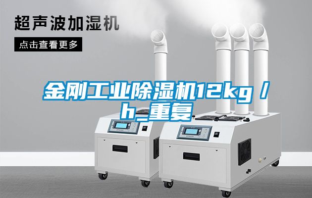 金剛工業除濕機12kg/h_重復
